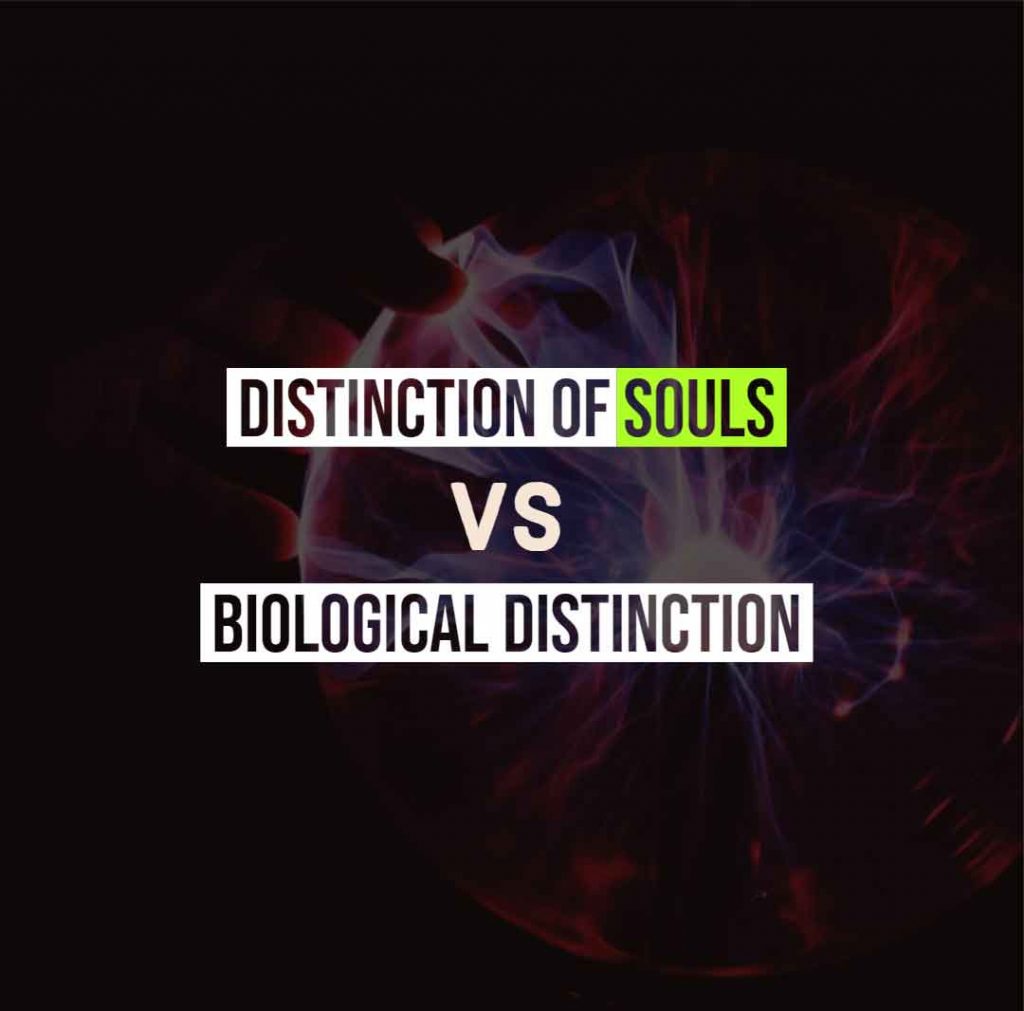 Distinction of Souls